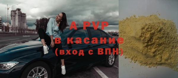 прущие грибы Волоколамск