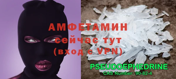прущие грибы Волоколамск