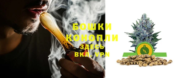 амф Володарск