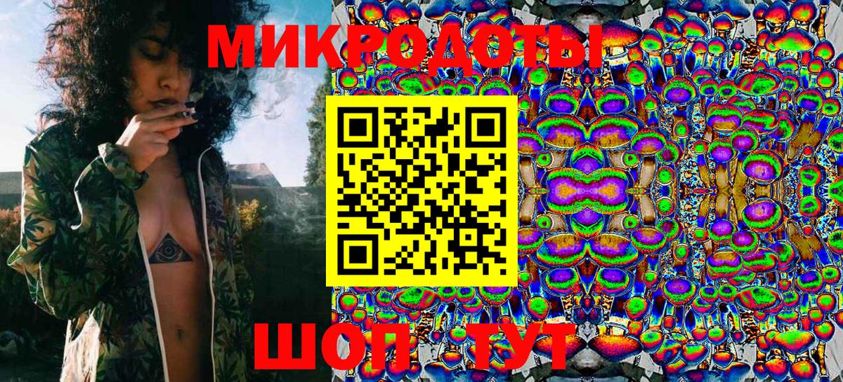 Псилоцибиновые грибы Psilocybine cubensis Вязники
