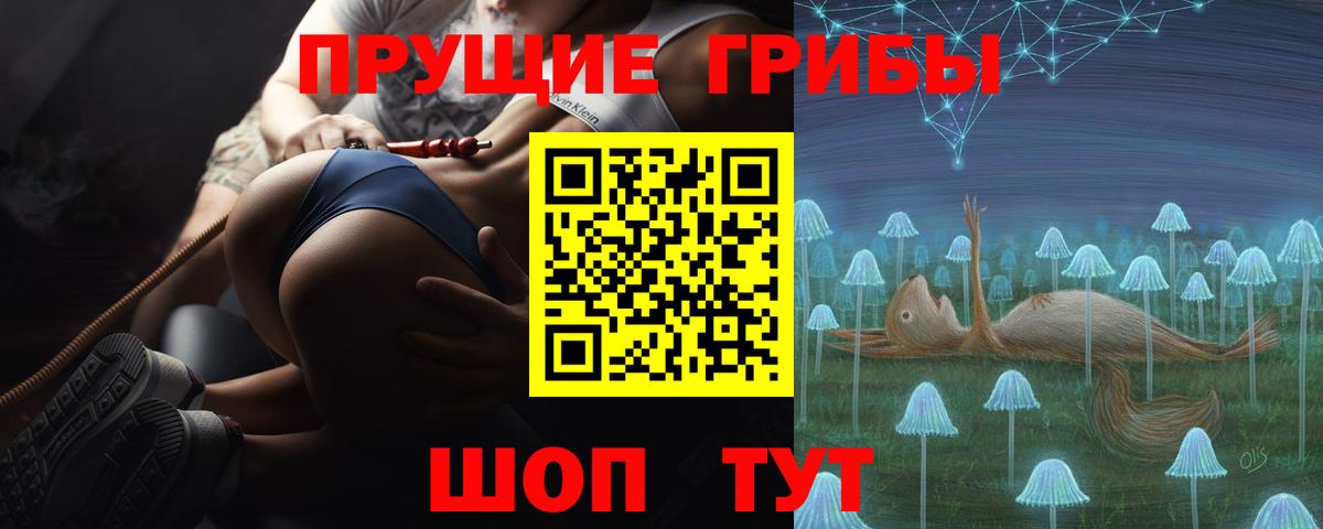 наркота  Вход с VPN  Вязники  Псилоцибиновые грибы Magic Shrooms 